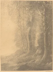 Paysage