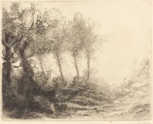 Paysage