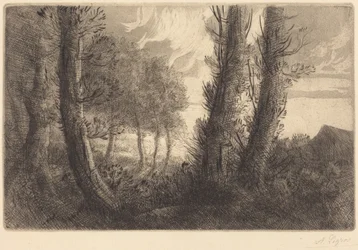 Paysage