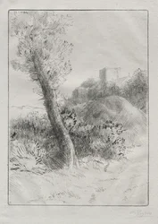 Paysage