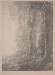 Paysage