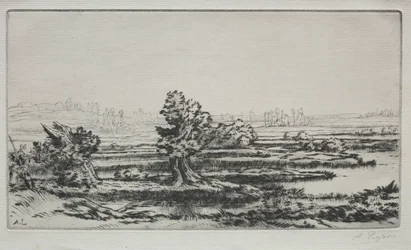 Paysage