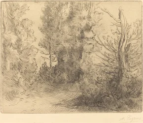 Paysage: Près Chailleux