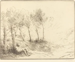 Paysage