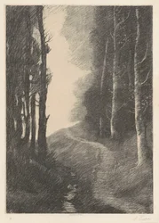 Paysage aux bouleaux