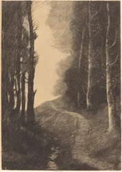 Paysage avec bouleaux