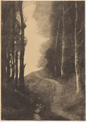 Paysage aux bouleaux