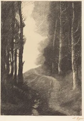 Paysage aux bouleaux