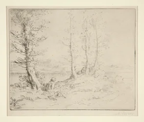 Le long de la rive
