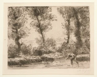 Les bords de la Liane