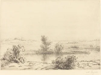 Les marais