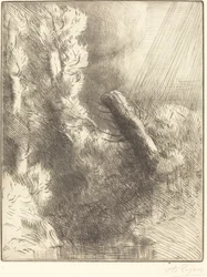 Souvenir de Fontainebleau (Effet de pluie)