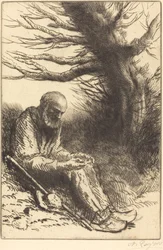 Vieil homme, vieil arbre