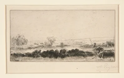 Paysage de Tourbières: Dans le Marais