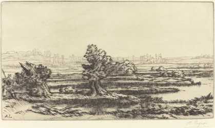 Tourbières Les Tourbières.