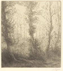 Le petit lac