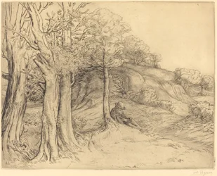 Solitude (Paysage)
