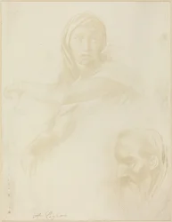 Étude de la Sibylle de Delphes, Tête d