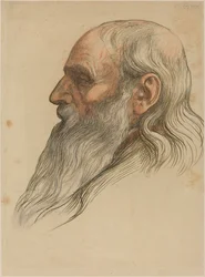 Étude de la tête d