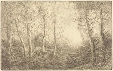 Lever du soleil, bois de Clamard