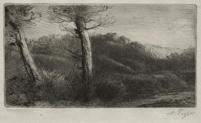 Coucher de soleil