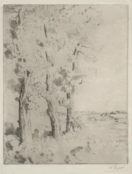 Le lecteur : La conférence sous les arbres