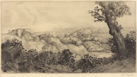 Le haut de la colline