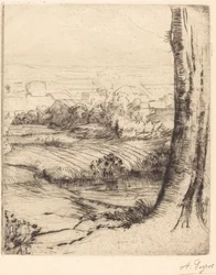 Coin de roseau