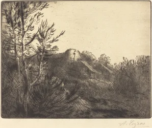 Vue d
