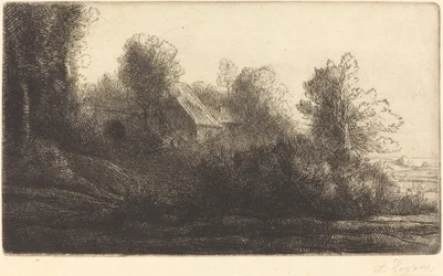 Vue d