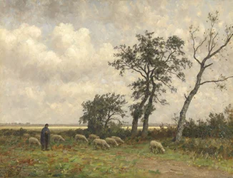 Paysage en Drenthe