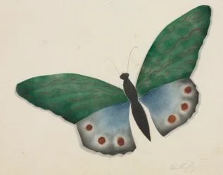 Papillon (aquarelle)