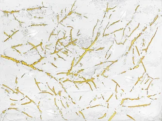 Texture dorée bio