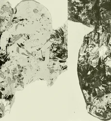 Formes organiques texturées