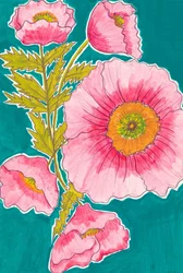 Des coquelicots d