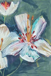 Des fleurs de lys blanches éclatantes