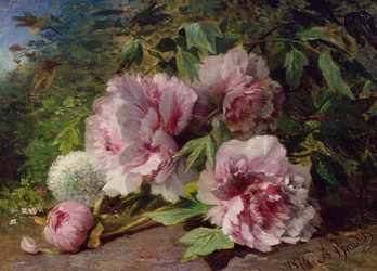 Étude de pivoines, 1874