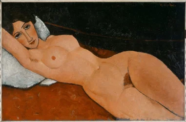 Femme nue allongée sur un coussin blanc