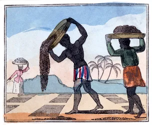 Fumure, 1826