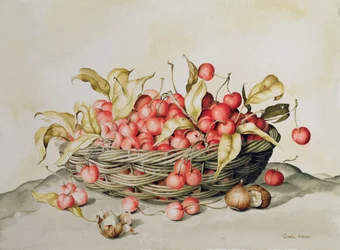 Panier de cerises, 1998