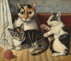 Chat et chatons