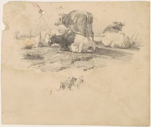Troupeau de bovins