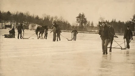 Coupe de glace