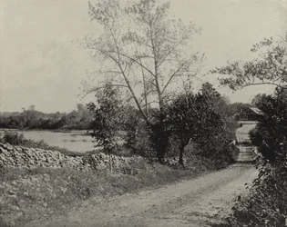 Étang des grenouilles de Windham, Windham, Connecticut