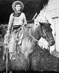 Cowboy américain au Kansas, vers 1880
