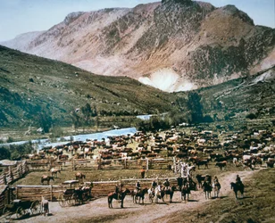 Ranch de bétail, Colorado