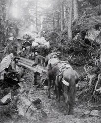 Escalade du sentier Dyea en route vers le col Chilkoot pendant la ruée vers l