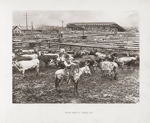 Kansas City, Missouri, États-Unis