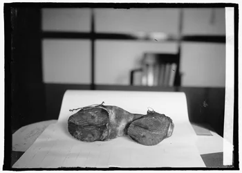 Unité de prohibition (chaussures de vache), 28 juin 1924 (photo n/b)