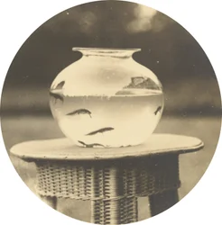 Sans titre (Bocal à poisson),v. 1888 (photo)